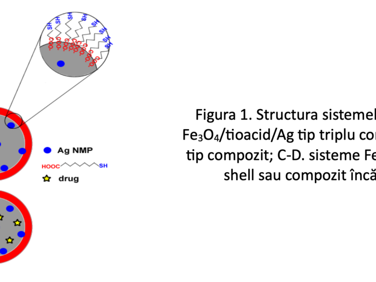 Structura_sisteme_magnetice
